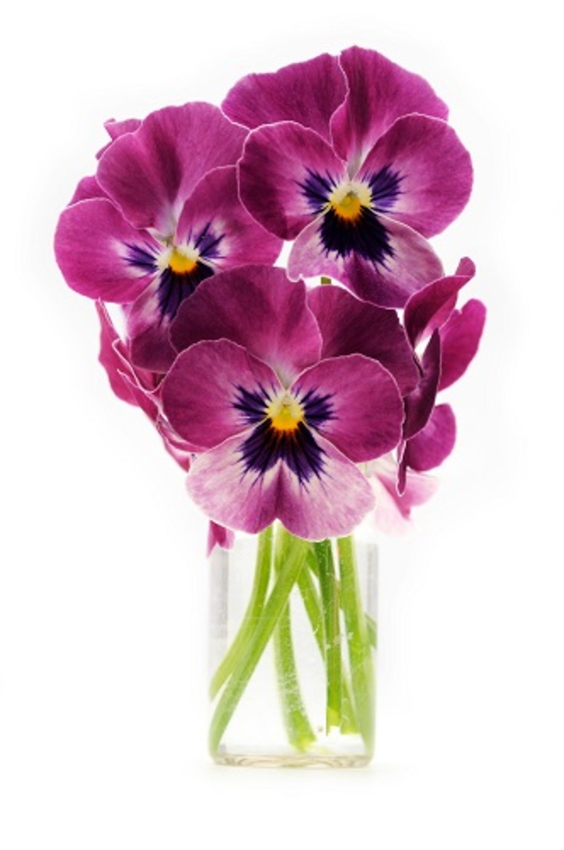 Flowers florist