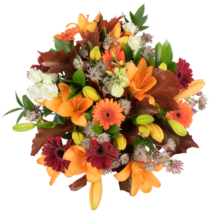 A close, slightly elevated study of an autumn-inspired hand-tied bouquet, photographed on a stark white background so every botanical detail is visible. Dominating the scene are large, open orange Asiatic lilies with broad, elegant petals that catch the studio light and display subtle tonal gradations from deep orange to softer apricot at the throat. Scattered among them are bright orange Gerbera daisies and contrasting deep burgundy gerberas, each flower's radial petals forming distinct, cheerful discs that counterpoint the lilies' sculptural forms. Soft, ivory lisianthus blossoms add a layered, ruffled softness against the stronger colours, while clusters of small purple Astrantia lend a delicate, airy texture with their tiny clustered stars and slender bracts. Several tight lily buds in pale green and warm apricot create depth and anticipation within the composition. Large, deeply lobed leaves in shades of reddish-brown and chestnut - visually akin to oak or maple leaves gathered from a Wood Green lane - are integrated as seasonal anchors, their crisp edges and visible veins enhancing the autumnal narrative. Fresh green foliage threads through the bouquet, offering structural support and a cooling contrast to the warmer hues. The overall impression is of professional, compact abundance: a bouquet assembled with careful balance of colour, form and texture, bright and fresh as if ready to grace a Thanksgiving dining table or be carried across West Green Road to a favourite neighbour. The white background and bright lighting make each petal and leaf appear immediate and tactile, inviting both sight and memory of scent and touch.