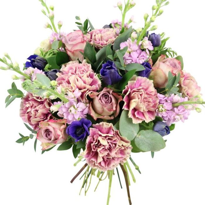 A richly detailed, hand-tied bouquet fills the frame against a bright white background, every stem and petal meticulously placed to highlight colour and form. At its centre, several generous garden roses are in full bloom, their petals unfolding in romantic spirals of blush pink, dusty rose, and muted mauve, like pages in a well-loved book. Interwoven through these roses are abundant, ruffled carnations, each flower brimming with texture; their petals melt seamlessly from pale, creamy blush at the core into more saturated shades of soft rose, fuchsia, and plum along the outer frills, giving the bouquet a plush, cloud-like volume. Breaking through this sea of pinks are deep, jewel-toned blues: compact, tulip-like blooms in rich indigo sit alongside a striking open anemone in royal blue, its dark, central disk creating a dramatic focal point near the front of the arrangement. Pale lavender and lilac stock add gentle vertical lines and a meadow-like looseness, their clusters of small blossoms hinting at a light, sweet scent that might drift through a home on a quiet evening. Around the edges, foliages of different greens-glossy darker leaves and soft, rounded eucalyptus in silvery tones-frame and support the flowers, balancing the colour palette and adding a sense of natural freshness. The stems are clearly gathered at the bottom, tied neatly in the way an experienced West Green florist would prepare a bouquet for delivery to homes near West Green Road, surrounding terraces by Lordship Lane, or as an elegant gift for a spring celebration, anniversary dinner, or thoughtful condolence gesture shared with someone local.