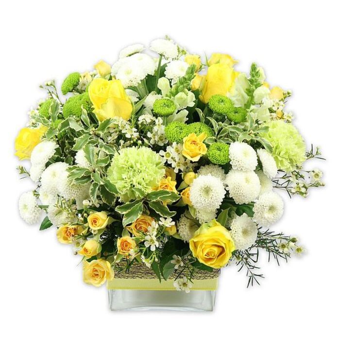 A vibrant, dome-shaped floral arrangement bursts with cheerful shades of sunny yellow, crisp white, and refreshing green, displayed in a sleek, square glass vase and photographed against a clean white backdrop. The focal flowers are striking yellow roses, some in tight, promising buds and others fully open with layered, velvety petals that curl outward, evoking warmth and optimism. Weaving between these larger roses are sprays of smaller yellow blooms, likely spray roses, whose many petite blossoms add fullness and a sense of joyful movement. Nestled throughout are round white pompom chrysanthemums, their dense, cushiony petals forming small globes of softness that contrast with the sharper lines of the rose petals. Accents of vivid lime green button chrysanthemums dot the design like tiny beacons, while larger, softly ruffled pale green blooms-resembling frilly carnations or specialist green mums-add volume and a cool, modern edge. The flowers are supported by an abundance of foliage: broad, variegated leaves with pale, creamy edges, along with fern-like dark greens and finer filler foliage, give the bouquet a natural, garden-inspired lushness, reminiscent of walking through the green pockets around Chestnuts Park near West Green. Threaded gently through the arrangement are delicate white filler flowers, possibly waxflower or a similar variety, with tiny, star-shaped blooms that provide airy highlights and help blend the colours together. The stems are gathered in a clear glass vase whose middle is wrapped in a rustic, tactile band that looks like woven bark or natural fibre, cinched by a bright lime green ribbon tied horizontally, echoing the green tones within the bouquet. The overall impression is one of fresh celebration-bright yet soothing-making this an ideal floral display for a spring birthday table, a cheerful "thinking of you" gesture, or a welcoming arrangement for a local West Green shopfront.